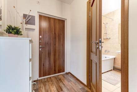 Однокомнатная квартира на сутки в Минске Воронянского, 7 прихожся