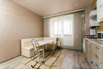 Однокомнатная квартира на сутки Минск Козлова кухня