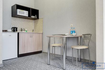 Однокомнатная квартира на сутки Минск Козлова кухня