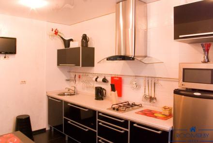 Однокомнатная квартира на сутки Минск Румянцева кухня