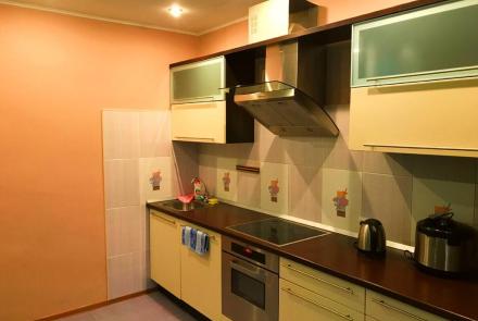 Квартира на сутки в Минске на Кедышко, 16 кухня