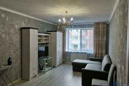 Однокомнатная квартира на сутки Городецкая спальня