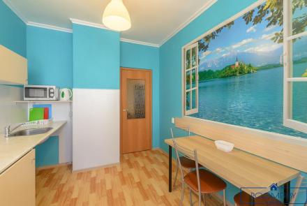 Однокомнатная квартира на сутки Кедышко кухня