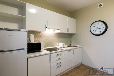 Квартира на сутки в Минске на проспекте Независимости, 39 кухня