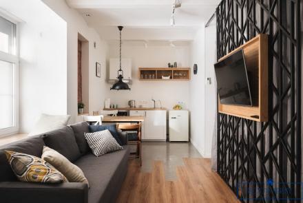 Квартира на сутки в Минске возле метро Площадь Якуба Коласа гостиная