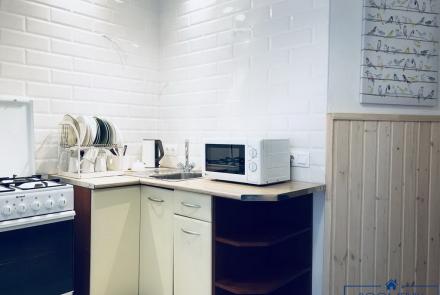 Квартира на сутки в Минске возле метро Площадь Якуба Коласа кухня