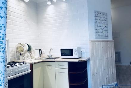 Квартира на сутки в Минске возле метро Площадь Якуба Коласа кухня