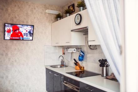 Однокомнатная квартира в Минске на Партизанском проспекте кухня