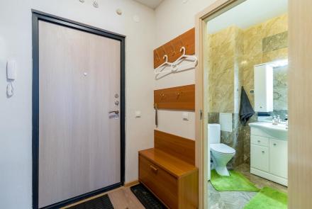 Однокомнатная квартира в Минске на Партизанском проспекте коридор