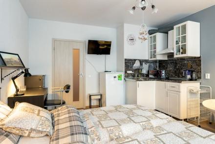 Однокомнатная квартира в Минске на Партизанском проспекте кухня