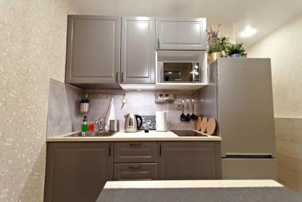 Однокомнатная квартира в Минске на Партизанском проспекте кухня