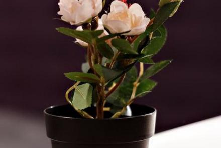 Однокомнатная квартира в Минске на Партизанском проспекте декор