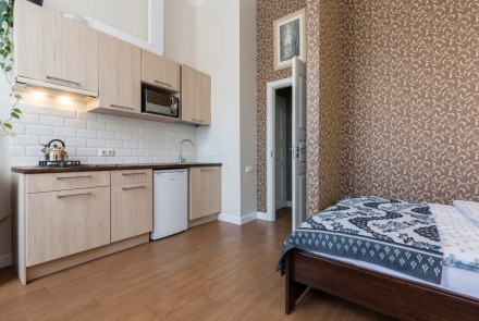 Однокомнатная квартира в Минске на Партизанском проспекте кухня