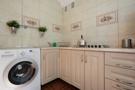 Однокомнатная квартира в Минске на Партизанском проспекте кухня