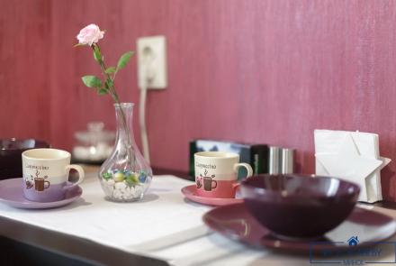 Двухкомнатная квартира на сутки в Минске на Партизанском проспекте кухня