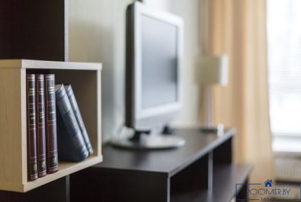 Двухкомнатная квартира на сутки в Минске на Партизанском проспекте гостиная