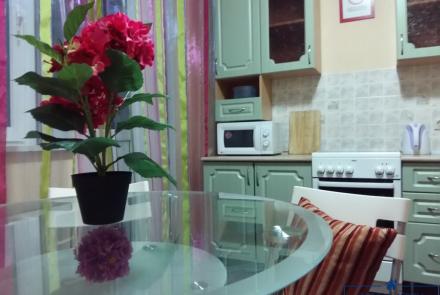 Двухкомнатная квартира на сутки в Минске на Партизанском проспекте кухня