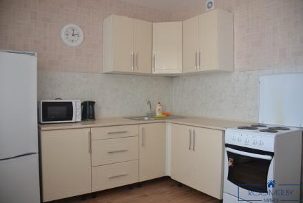 Однокомнатная квартира в Минске на Партизанском проспекте кухня