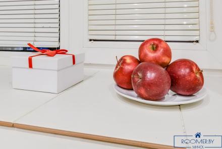 Однокомнатная квартира в Минске на Партизанском проспекте кухня