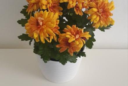 Однокомнатная квартира на сутки в Минске на Партизанском проспекте кухня