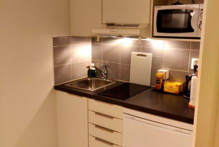 Однокомнатная квартира на сутки в Минске на Партизанском проспекте кухня