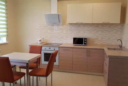 Однокомнатная квартира в Минске на Партизанском проспекте кухня