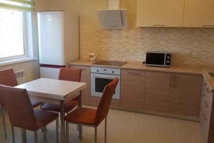 Однокомнатная квартира в Минске на Партизанском проспекте кухня